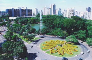 imagem portfolio