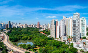 imagem portfolio